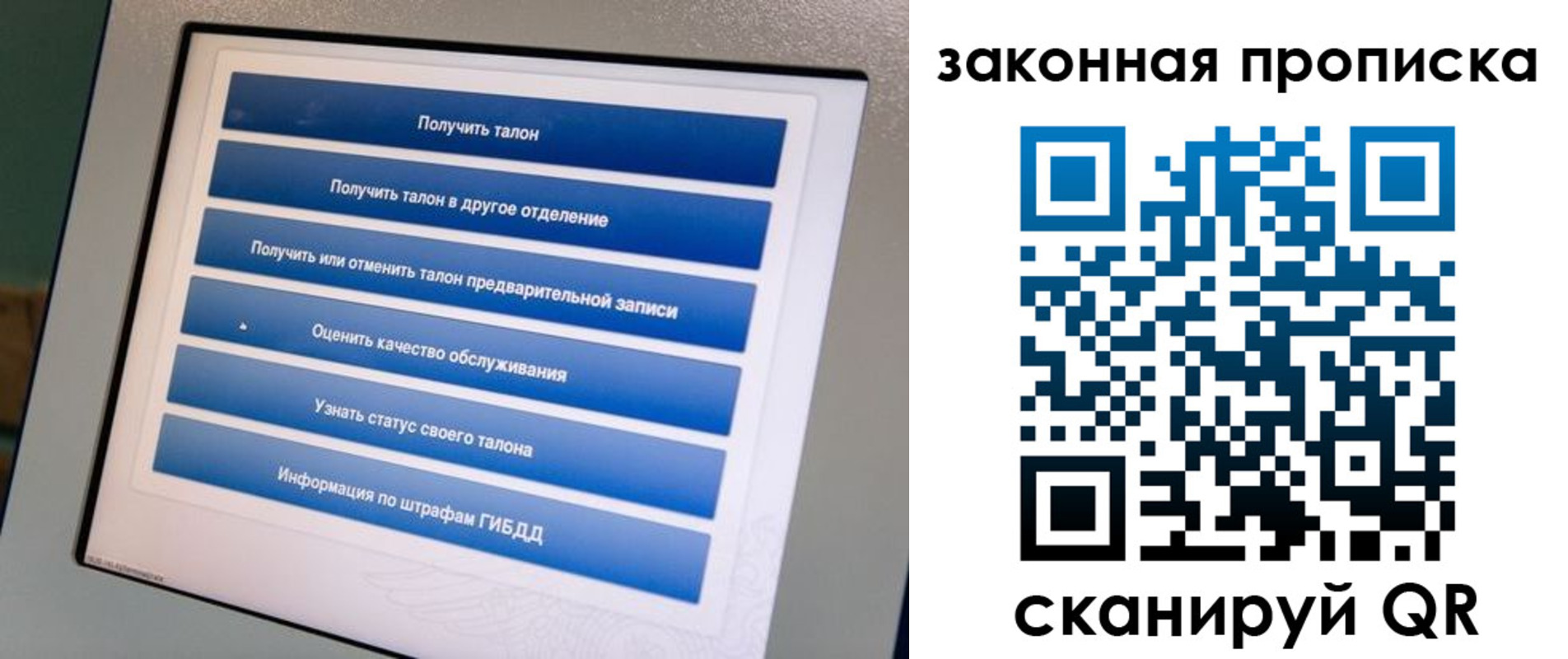 прописка 2025 в Оленегорске